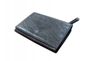 Flapped Wallet