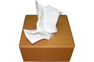 Tissue Box