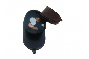 Horseshoe Coin Case
