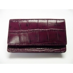 Business & Credit Card Case