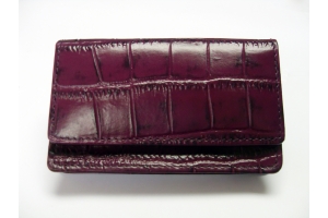 Business & Credit Card Case