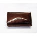 Business & Credit Card Case