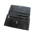 Document Case