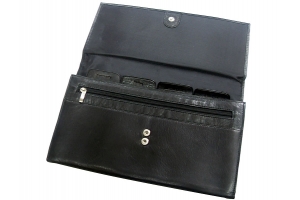 Document Case