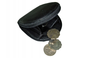 Zip Accordion Coin Tray